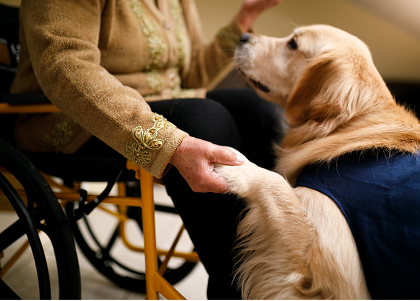 Senior Citizen Care